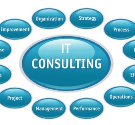 IT consultancy Services